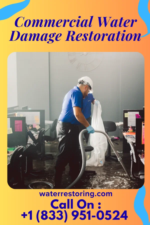 Commercial Water Damage Restoration in Thompsons, TX